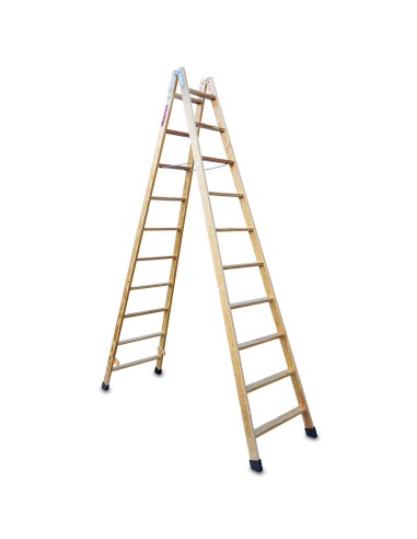 Escalera profesional de doble subida LD10 y 10+10 peldaños - FARAONE