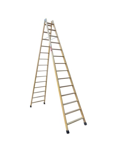 Escalera profesional de doble subida LD14 y 14+14 peldaños - FARAONE