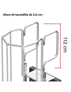 Escalera profesional vertical SVS2 con jaula - FARAONE 2